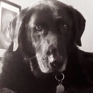 Meet your Posher, Alexa